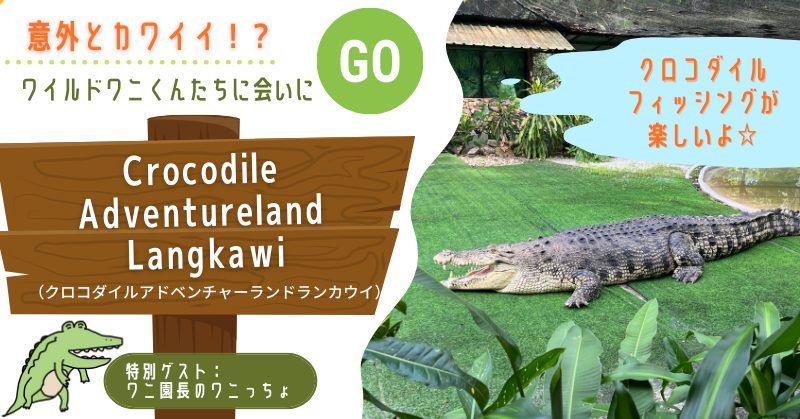 でっかいワニからちっちゃいワニまで 癒されに 行こう Crocodile Adventureland Langkawi クロコダイルアドベンチャーランドランカウイ ザ マレーシアのおはる